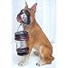 Boxer Solar Garden Light with Lantern