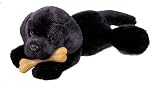 Plush Black Lab 11