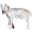 Dog Costumes - Rock Superstar Dog Costume Large Dog