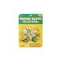 Insect Lore Praying Mantis Life Cycle Stages
