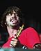 Foo Fighters by Unknown 16x20