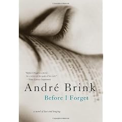 Before I Forget: A Novel