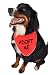 Ruff Ruff and Meow Doggie Bandana, Adopt Me, Red, Small