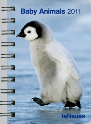 2011 Baby Animals Pocket Engagement Calendar