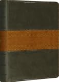ESV Large Print Compact Bible (TruTone, Forest/Tan, Trail Design) (Esv Bibles)