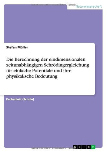 Die Berechnung der eindimensionalen zeitunabhängigen Schrödingergleichung für einfache Potentiale und ihre physikalische Bedeutung (German Edition)