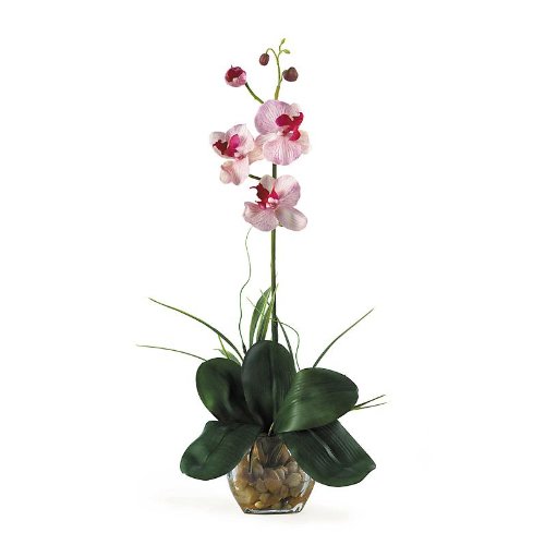 Mini Phalaenopsis Liquid Illusion Silk Orchid Arrangement