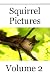 Squirrel Pictures - Volume 2