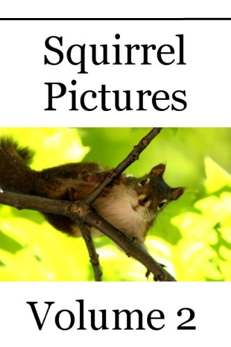 Squirrel Pictures - Volume 2