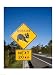 Koala sign on the road, Queensland, Australia Poster (18.00 x 24.00)