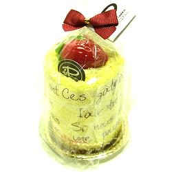 Gift Wrapped 2 Tone Fraisier Cake Dessert Hand Towels Wash Cloth Home Gift Set Yellow with Vanilla color with Strawberry Magnet