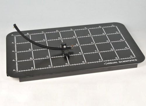 Visual Scientifics Collisions in 2D