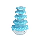 Set Of 5 Glass Bowls with Retro Blue Spotty Lids