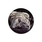 White Bengal Tiger Rubber Round Coaster (4 pack)