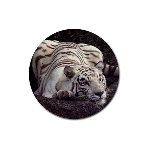 White Bengal Tiger Rubber Round Coaster (4 pack)