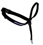 Premier ECO Gentle Leader Head Dog Collar, Large, Cosmic Black