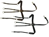 Amigo Breastplate with Martingale