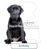 PaperHouse Productions Black Lab Puppy Birthday Card