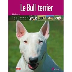 Le Bull terrier
