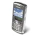 BlackBerry Pearl 8110 Unlocked Phone with 2 MP Camera, GPS, MicroSD Slot, and Digital Media Player--International Version with No Warranty (Titanium)