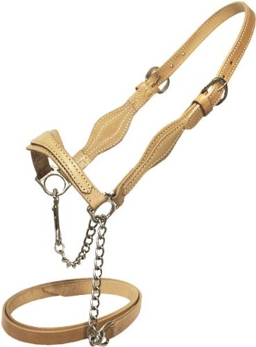 Abetta Cattle Show Halter - Cow/steer - Black