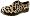 Leopardo