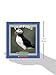 Puffins (True Books)