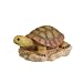 Sculptural Gardens Turtle on a Rock Statuary