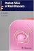 Pocket Atlas of Oral Diseases (Flexibook)