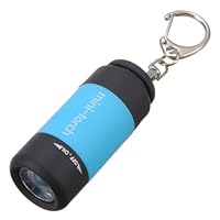 0.3w Mini Keychain USB Rechargeable LED Flashlight Torch Random Color