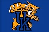 Kentucky Wildcats NCAA 20 x 30 Acrylic Tufted Rug