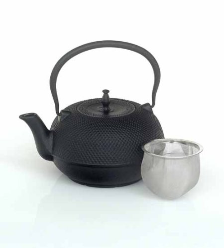 Cast Iron Japanese Style Kettle / Teapot