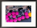 Umbrellas of Cafe, Innsbruck, Austria Framed Photographic Poster Print by Chris Mellor, 21x17