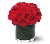 Teleflora's Red Gerbera Collection