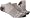 ASICS Hydrology Low Cut Running Sock (3-Pack) (Assorted,Large)