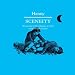 Sceneity An Account of the Influence of Scenes on