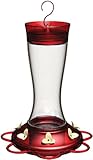 More Birds Garnet Glass Hummingbird Feeder with Seven Feeding Stations, 20 Fluid Ounce Capacity