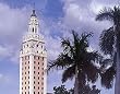 Admiring Miami's 'Freedom Tower' - Pleasant Photographic Print by Carol M. Highsmith