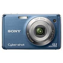 Sony Cyber-shot DSC-W290 12 MP Digital Camera with 5x Optical Zoom and Super Steady Shot Image Stabilization (Dark Blue)