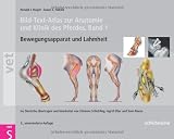 Produkt-Bild: Bild-Text-Atlas zur Anatomie und Klinik des Pferdes Band 1. Bewegungsapparat und Lahmheiten: BD 1