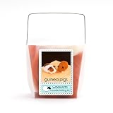 WoolPets Guinea Pigs Wool Needle Felting Craft Kit. Made in the USA.