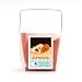 WoolPets Guinea Pigs Wool Needle Felting Craft Kit. Made in the USA.