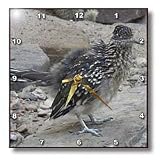 Jackie Popp Nature N Wildlife birds - greater road runner - Wall Clocks