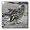 greater road runner - 10x10 Wall Clock