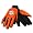 Clemson Tigers