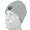Oakland Raiders (Grey)