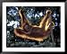 Borneo, Tanjung National Park Orangutan (Pongo Pygmaeus) juvenile stretching out between branches Framed Art Poster Print by Theo Allofs, 49x39