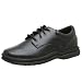 Rockport Works Men's Westville Oxford