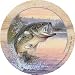 Angler's Dream- Thirstystone Coaster Set