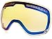 Dragon Alliance APXs Snow Goggles
